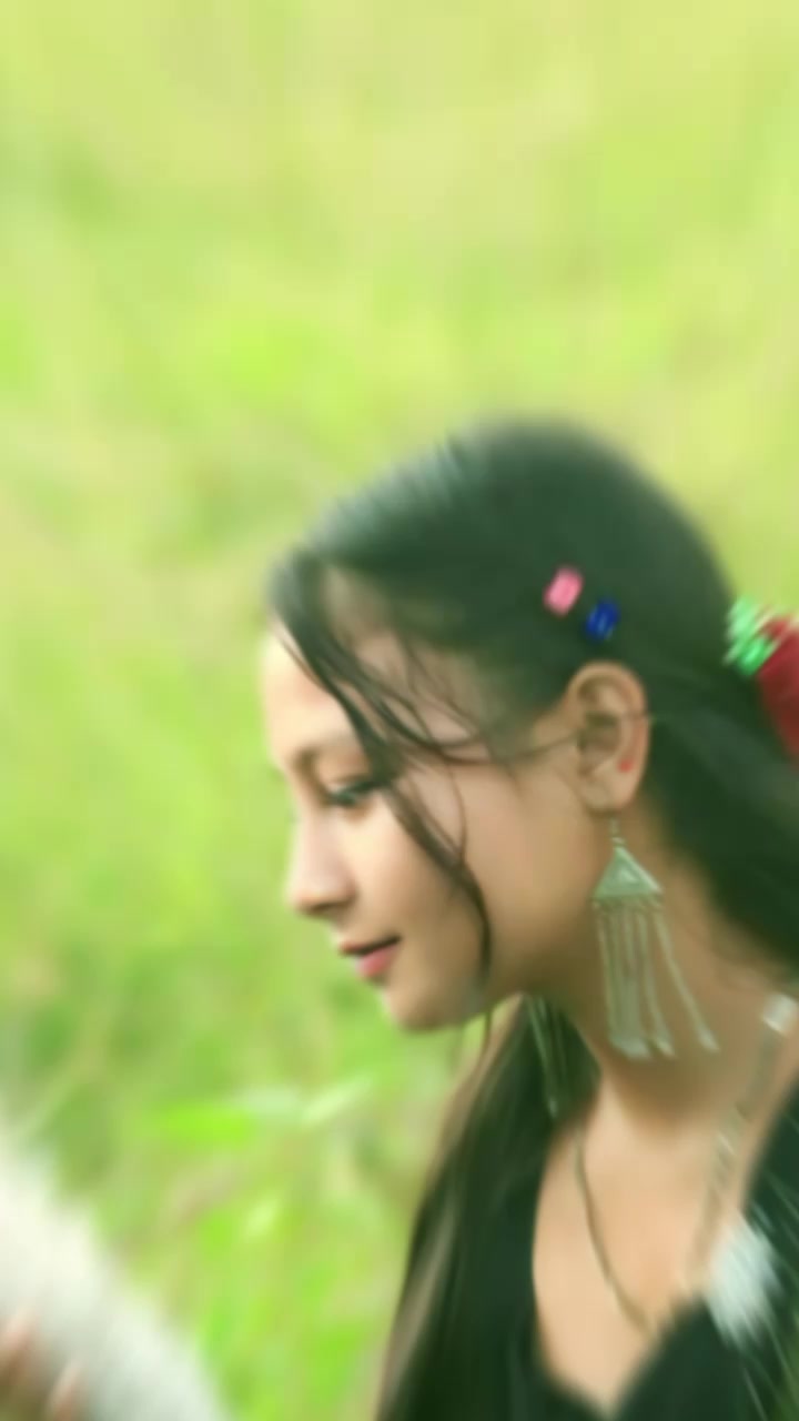 @dipa mijar
