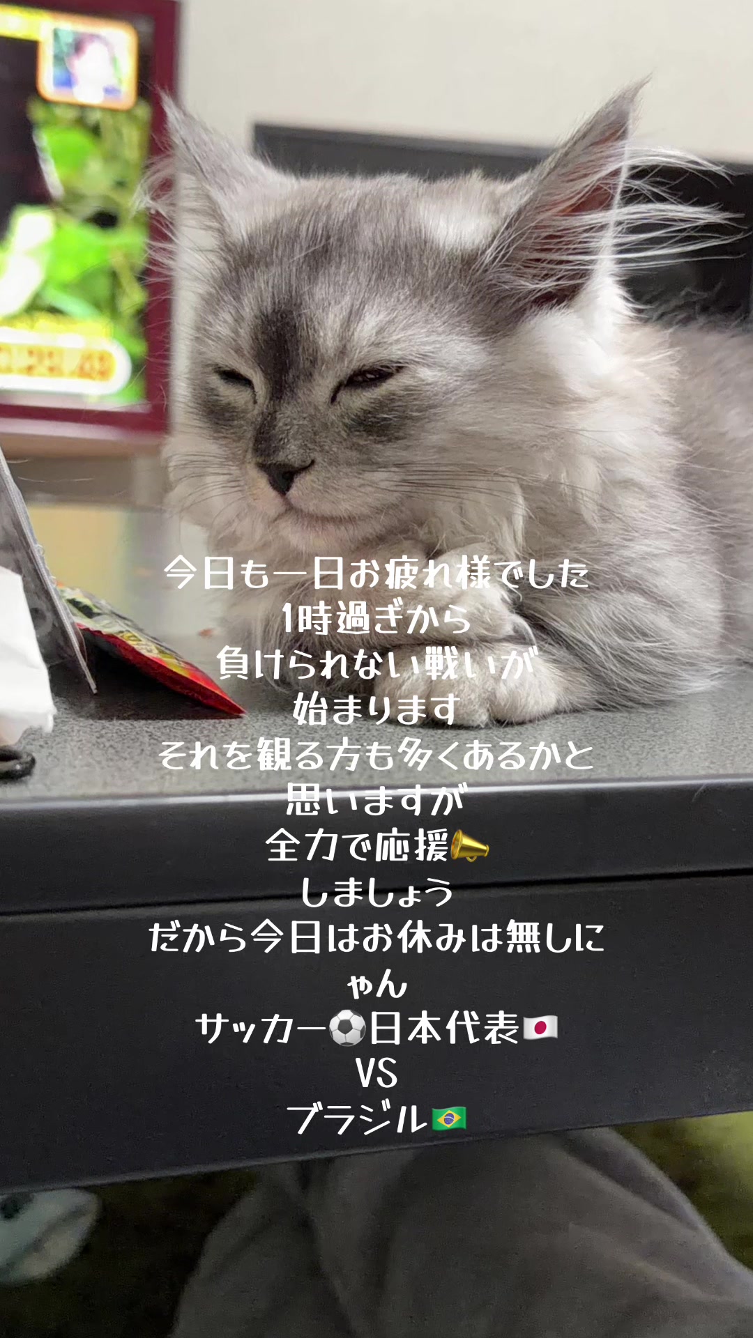 @ð¥é»æŸ€æ£å¿ð¥