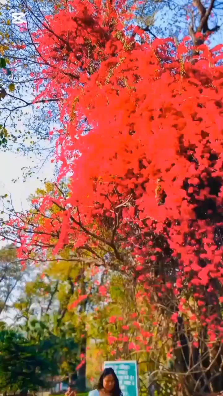@Mo_nu_Rana
