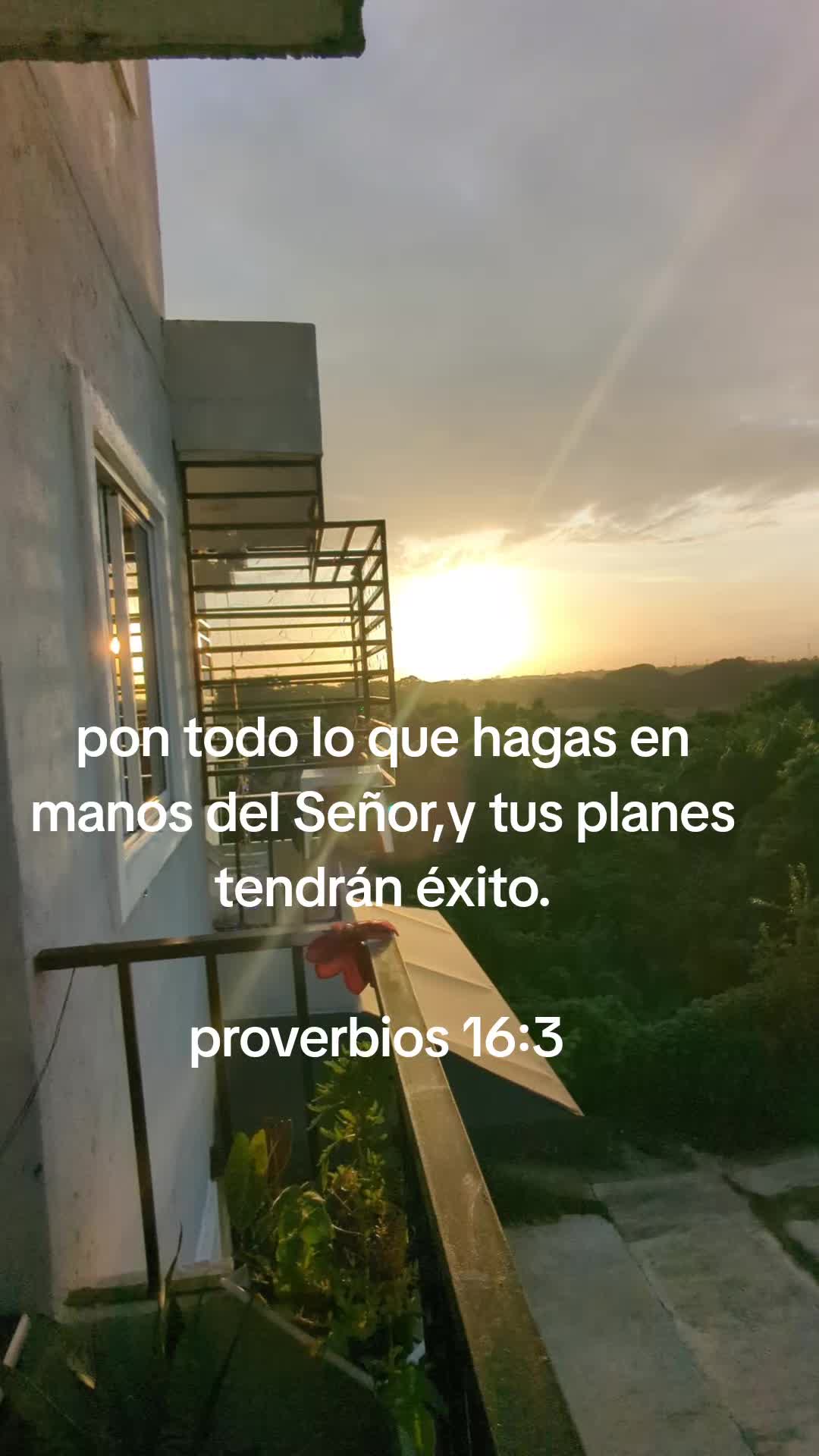 @la negra