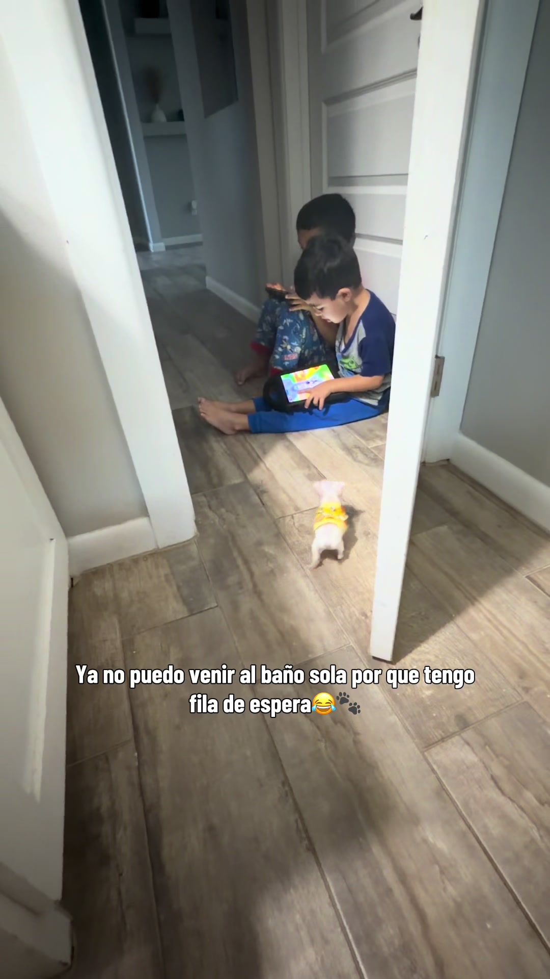 @Alexa Mercado
