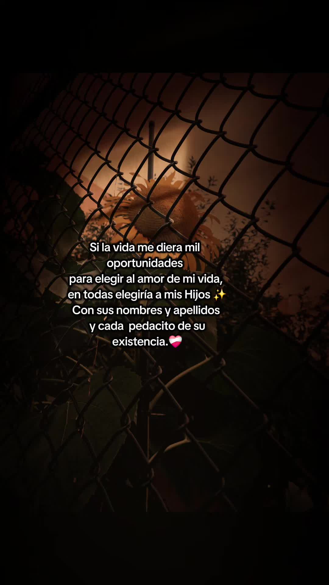 @🎶🎵🎧LUNA🎶🎵🎧