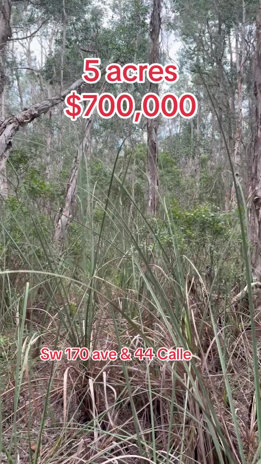 @Florida Land Guy