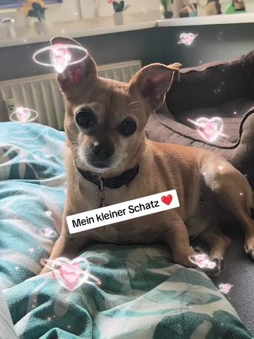 @🏳️🌈Kathi❤️Milow🐕❤️