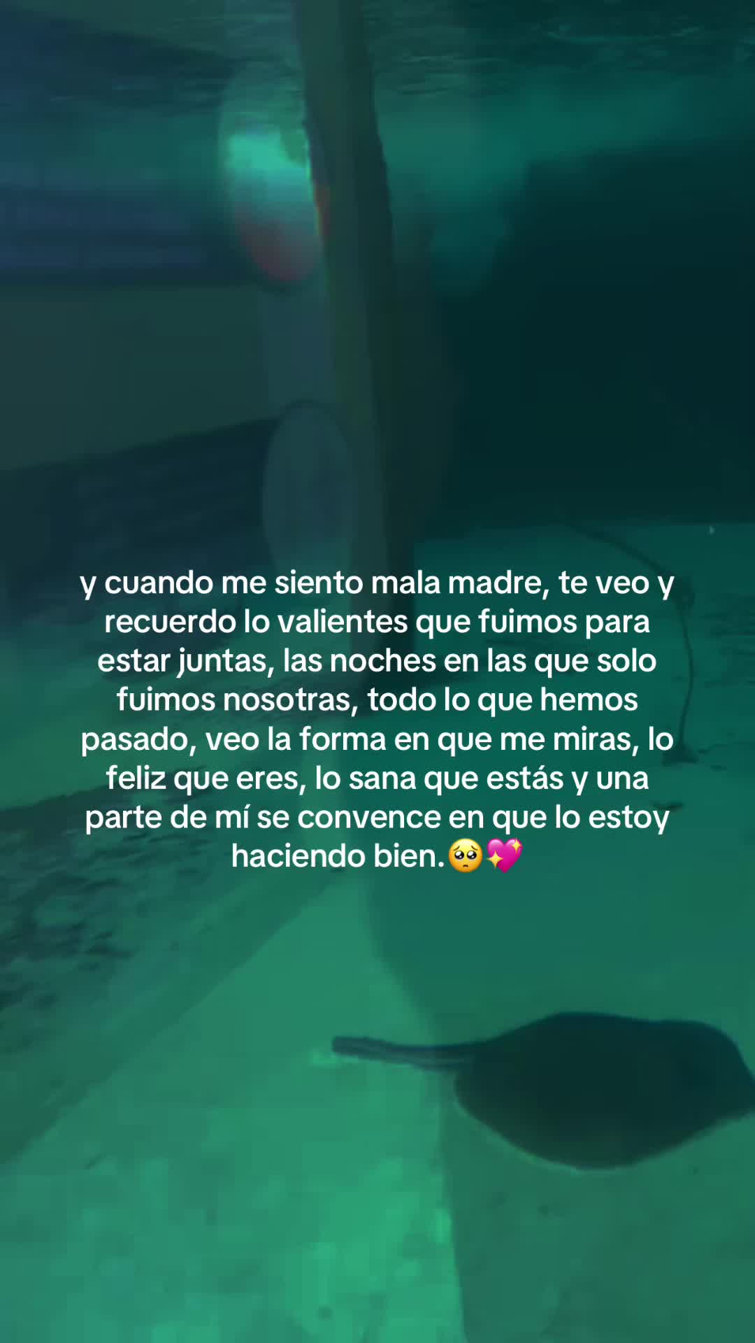 @❤️🥹MI FAMILIA DE 3🥹❤️