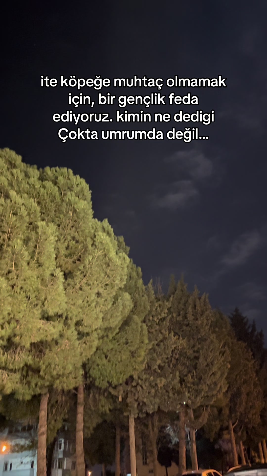 @Buse emanet 🐆