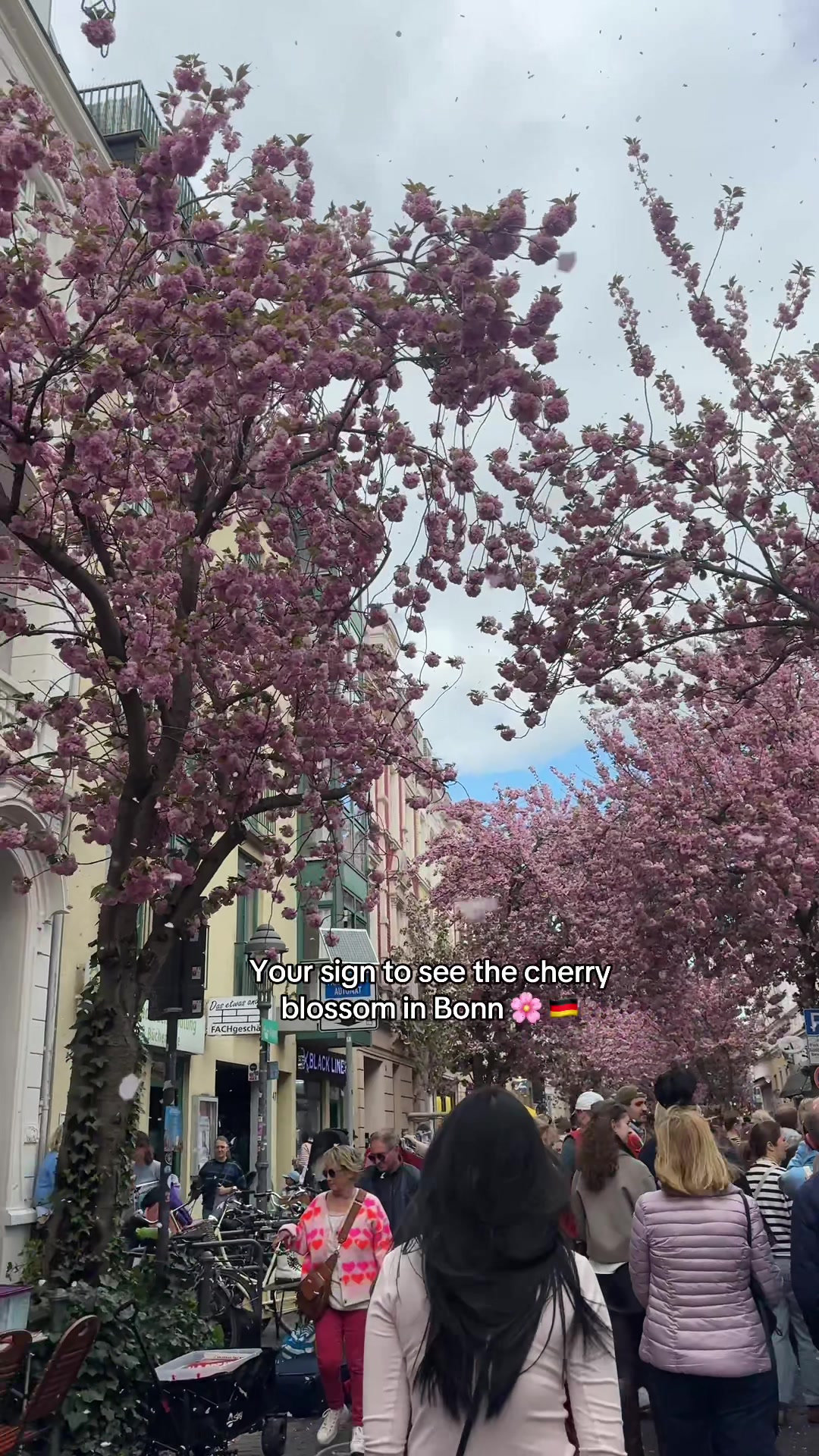 @A N N ๐