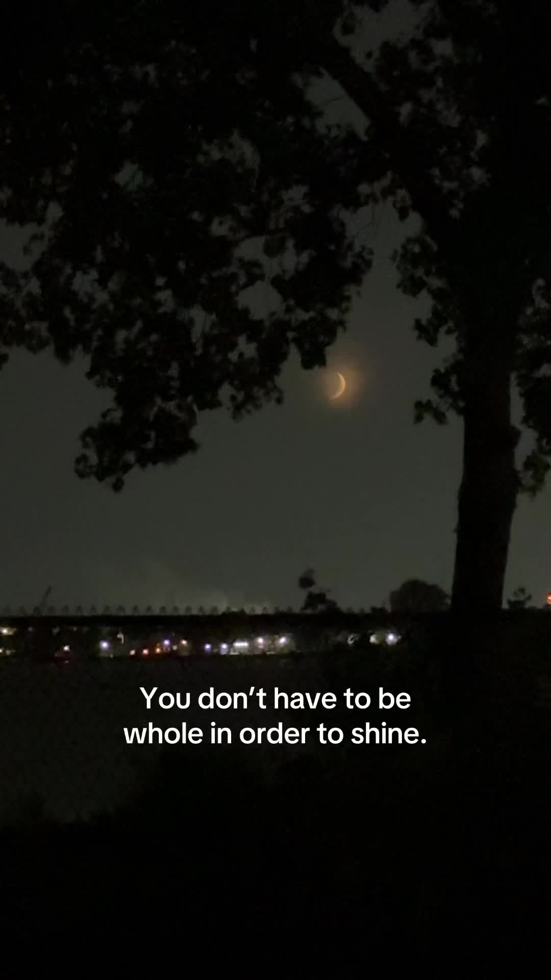 @ℒ ᥫ᭡