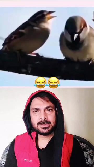 @ਮਿਨਹਾਸ ਰਾਜਪੂਤ