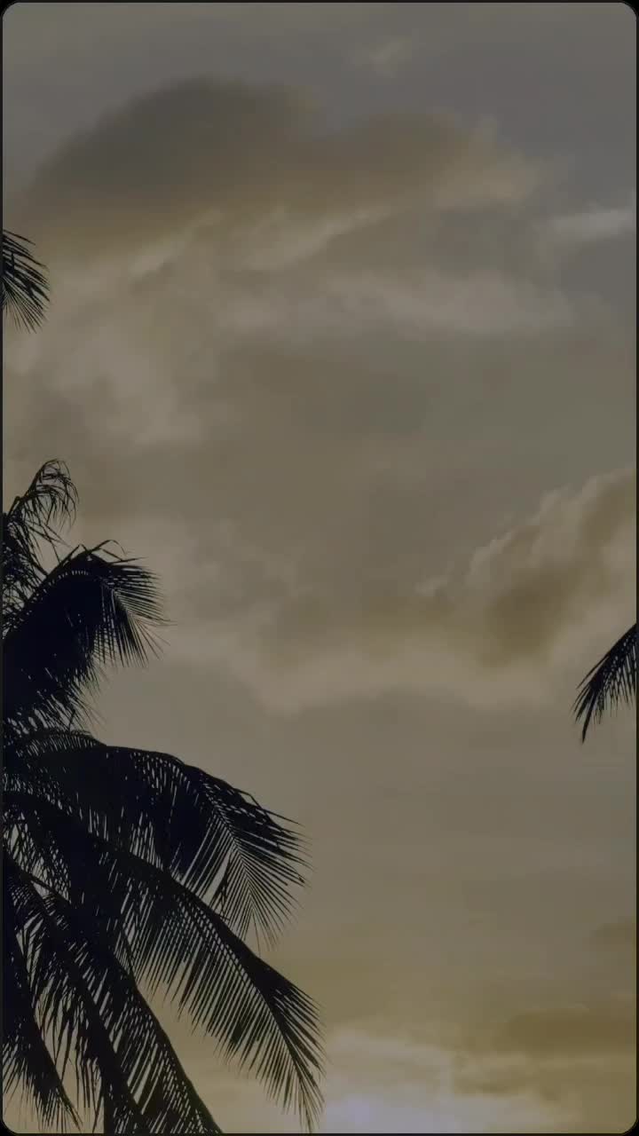 @𓆩❤️𓆪Tannibunny𓆩❤️𓆪