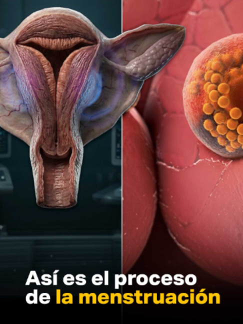 @Primeros Auxilios