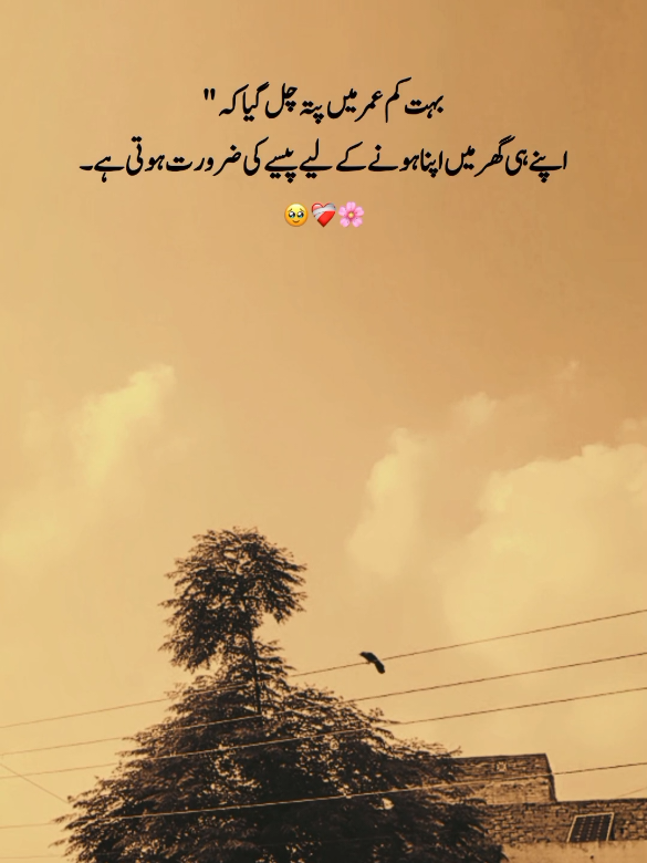 @احمد رائٹس