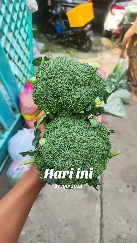 @supplier sayur dan buah sby