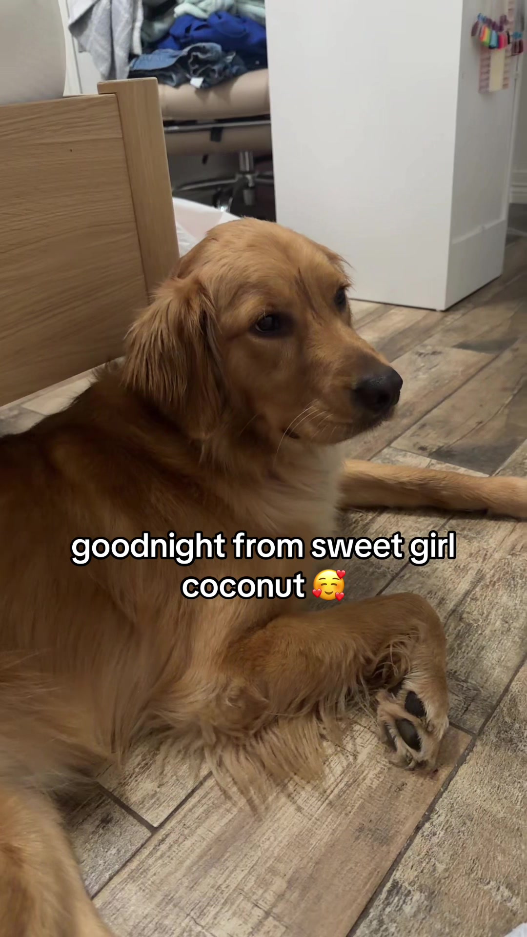 @Coconut 🥥 & Teddy 🧸