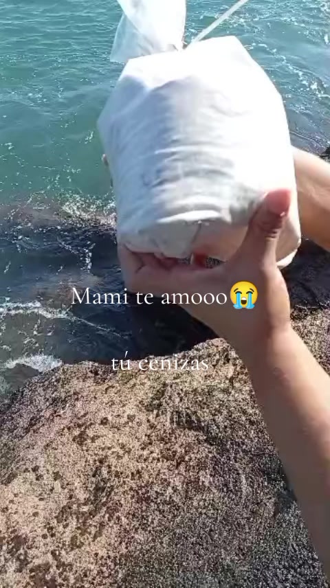 @Maria Ciccarelli