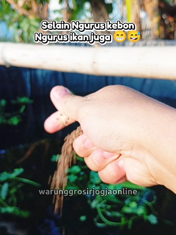 @warung grosir jogja online