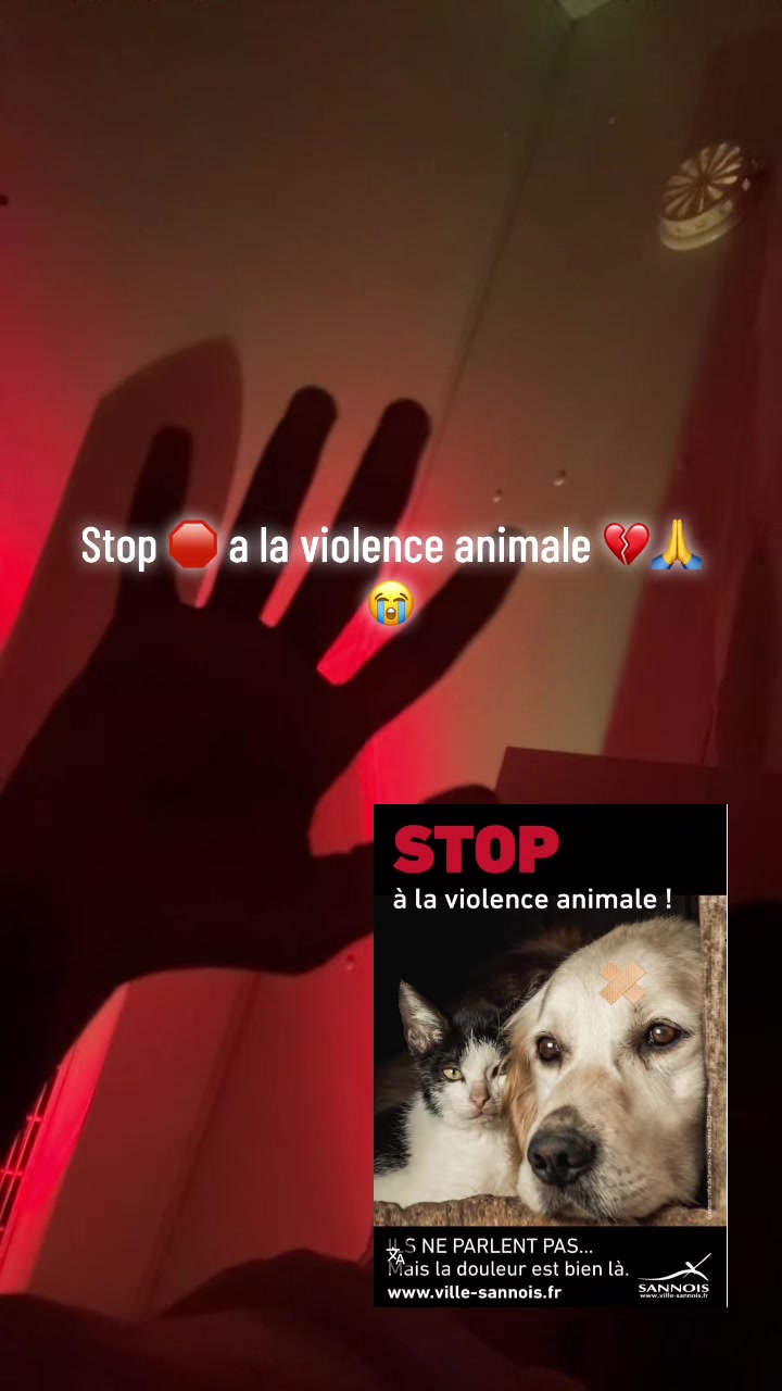 @Momoparleauxchiens🇸🇳🇩🇪