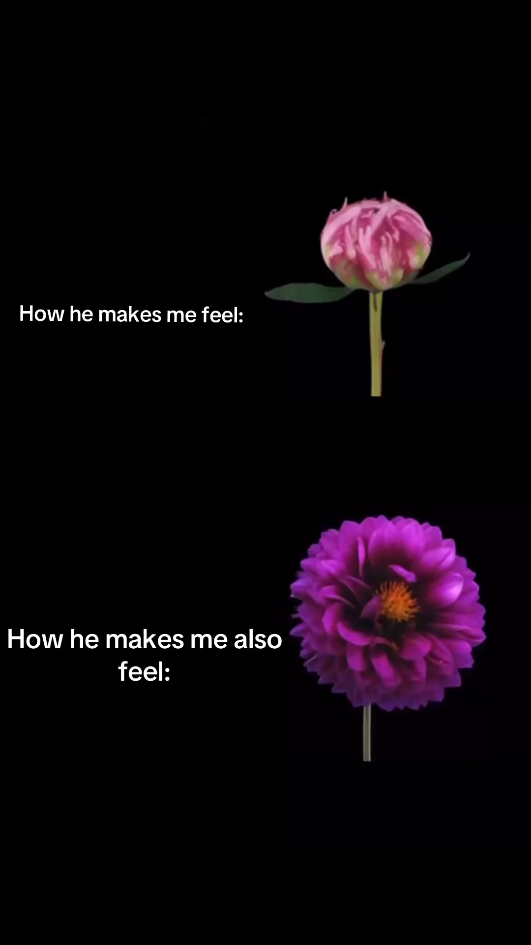 @🤷🏼&zwj;♀️