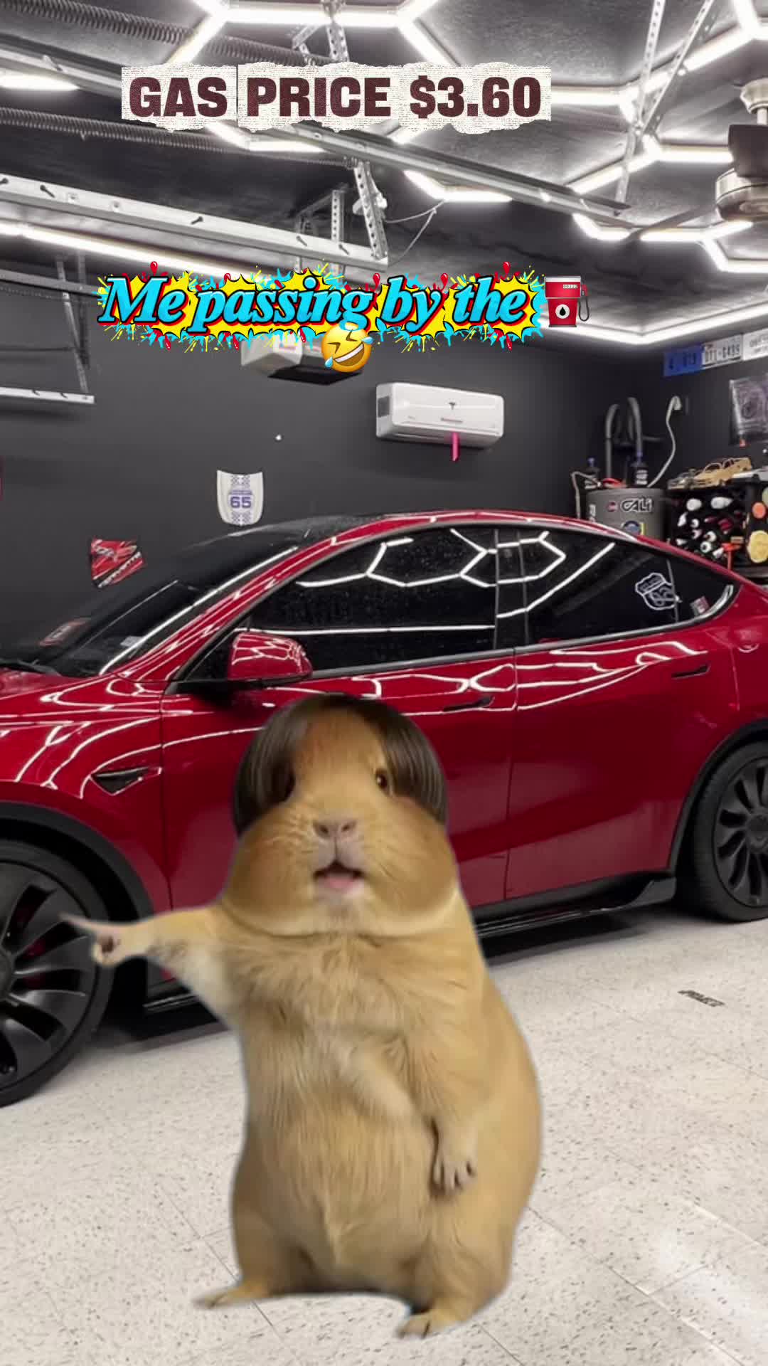@Julio🚦🏎️💨