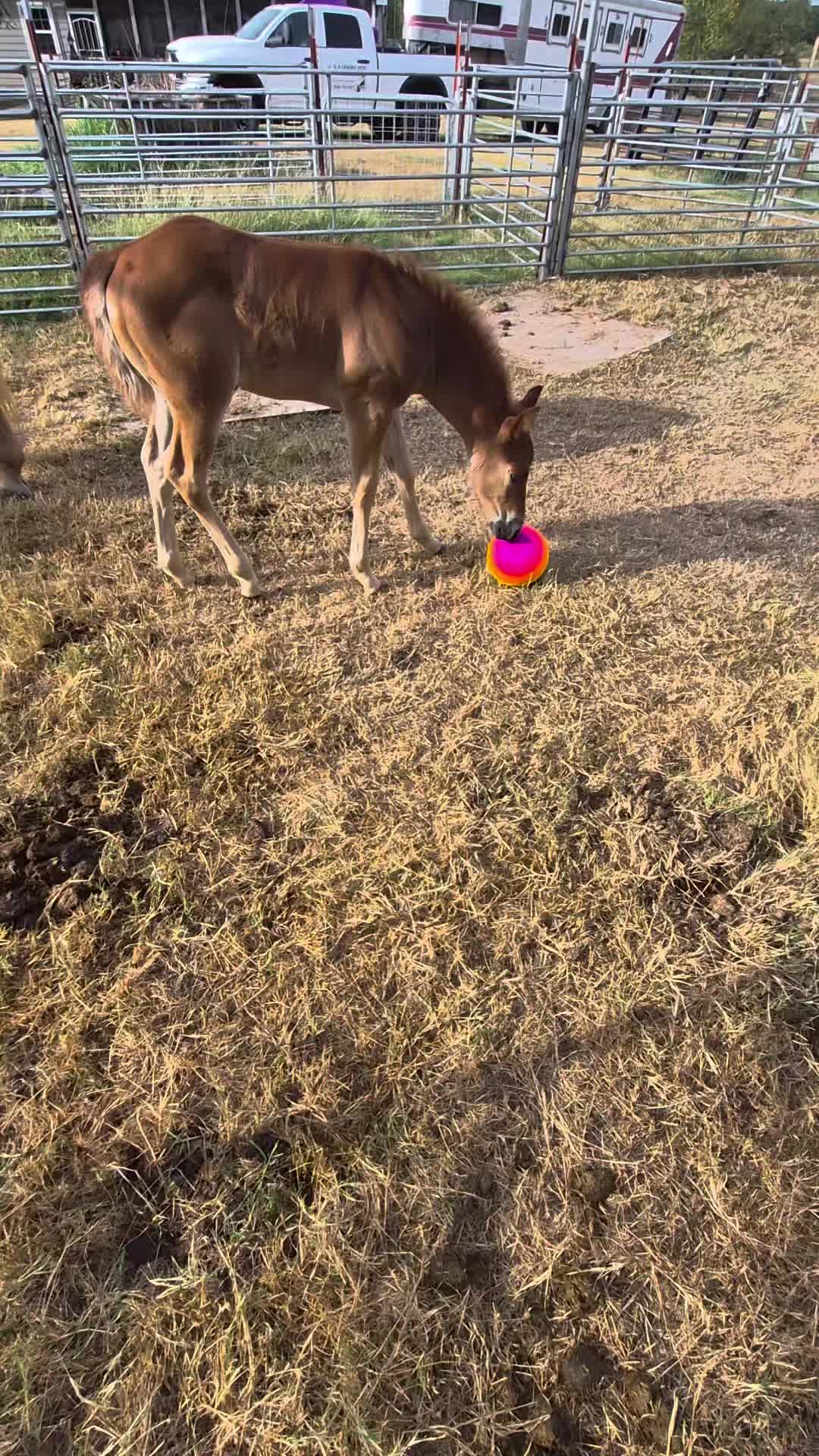 @pussnboots4555