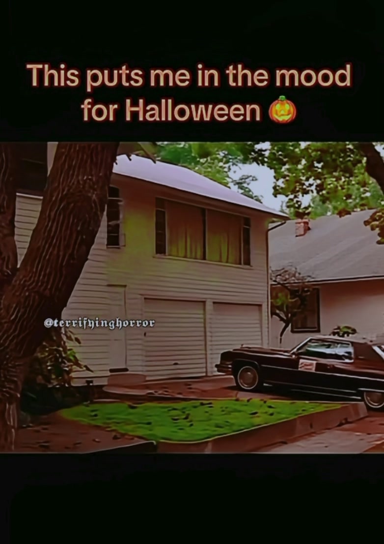 @ᴛᴇʀʀɪꜰʏɪɴɢʜᴏʀʀᴏʀ🎃👻🤡