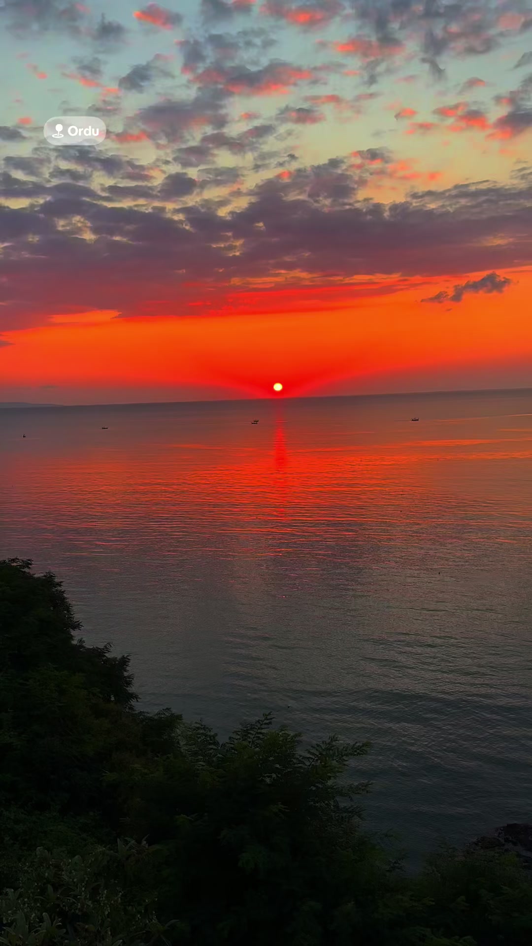 @pınar deniz