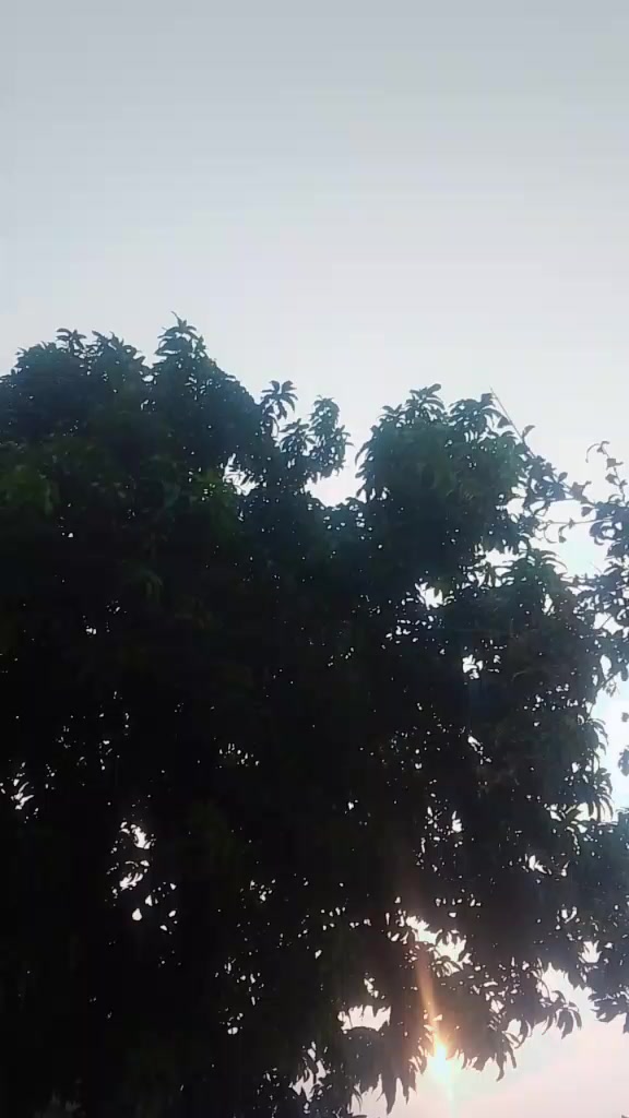 @Maan ji