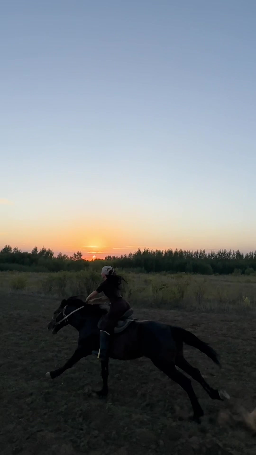 @NAZEKA🐎