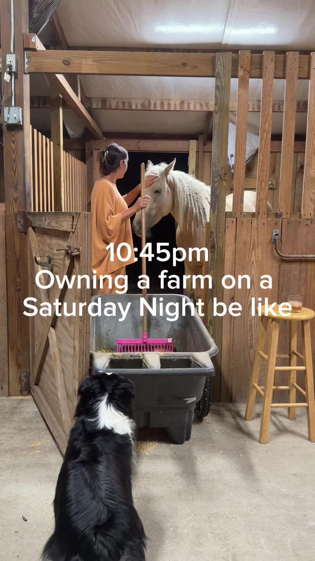 @corderoequine