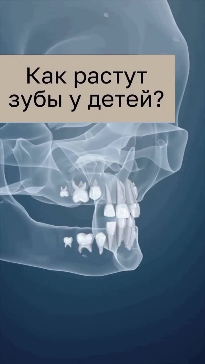 @Dent_tooth