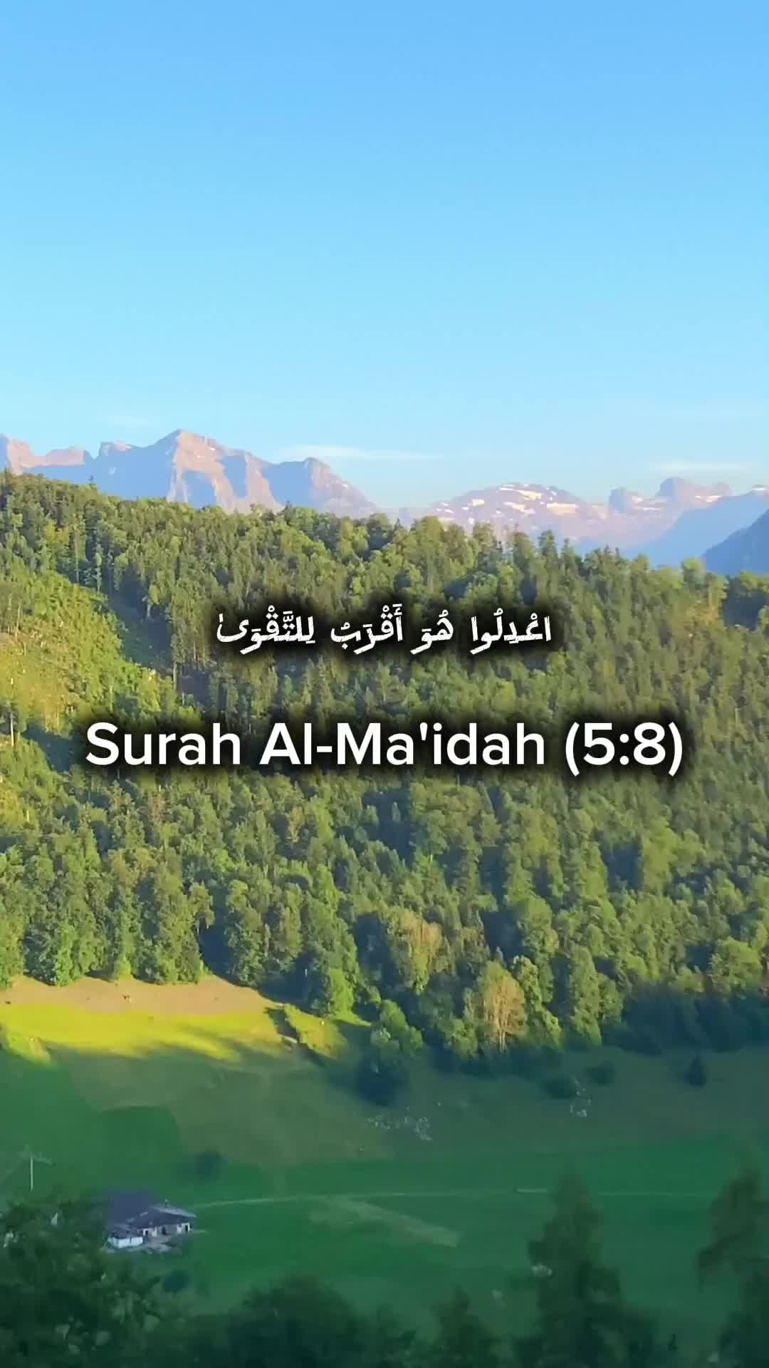 @Amjad