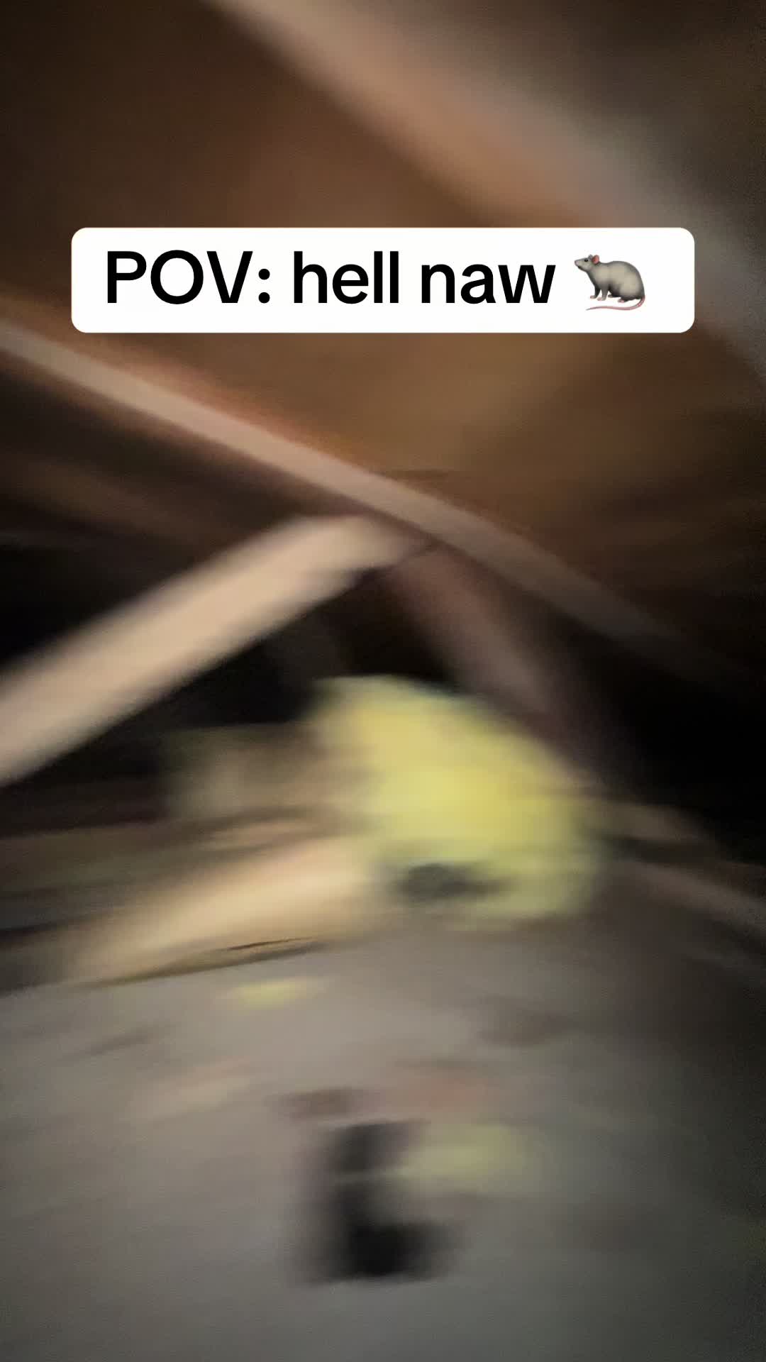 @The Millennial Plumber