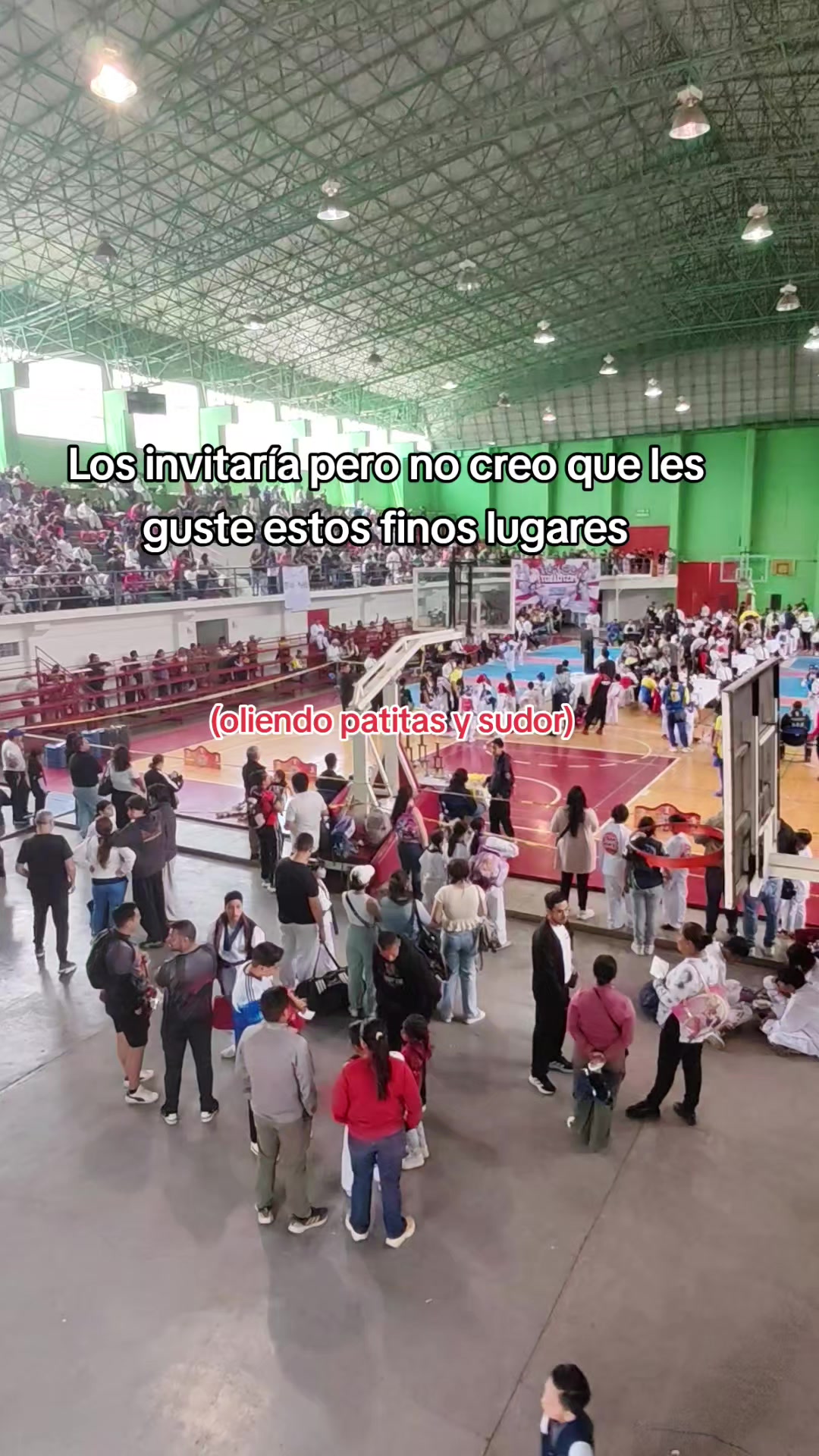 @Ana Hernandez Torres