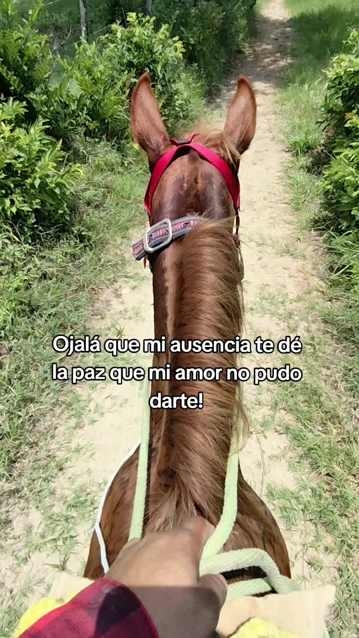 @ilber 🧔🏻