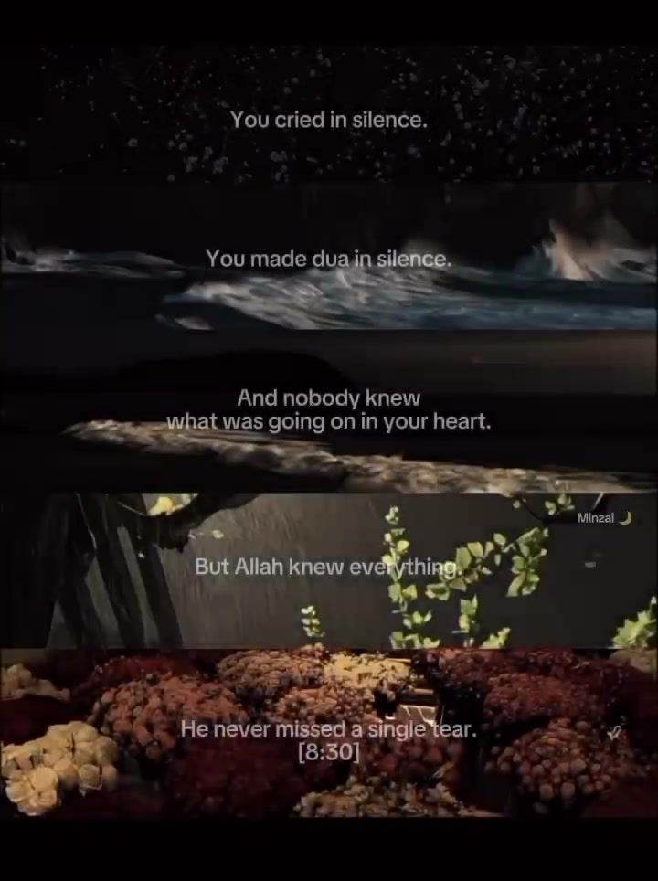 @𝙈𝙞𝙣𝙯𝙖𝙞 🌙