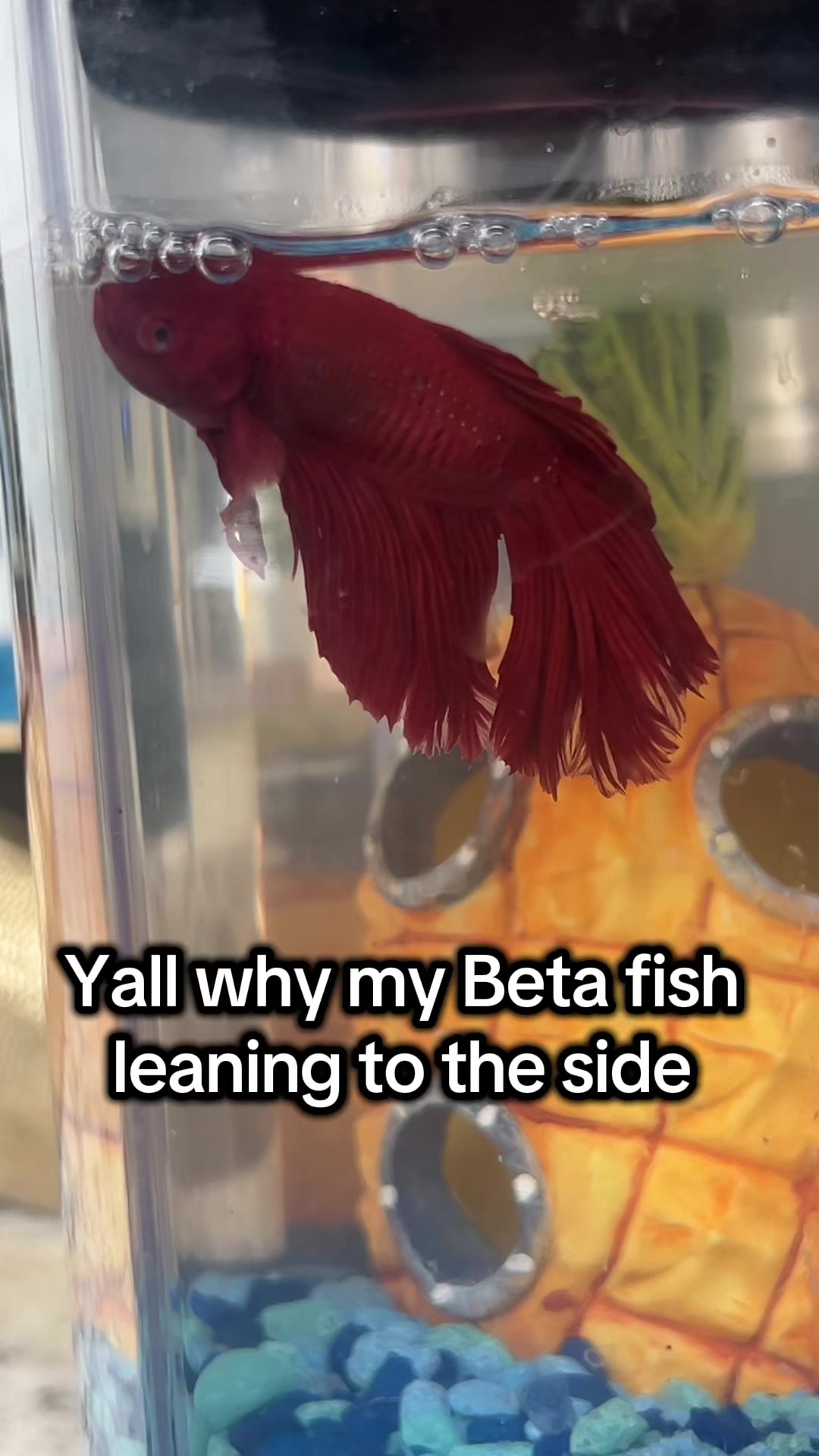 @Courtnie