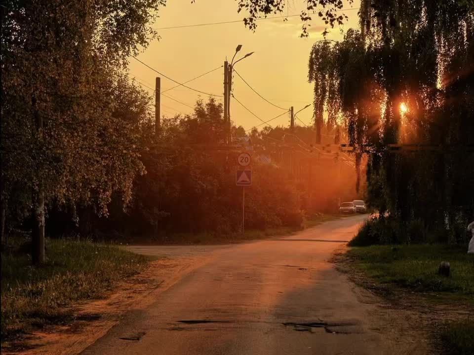 @l1k9s