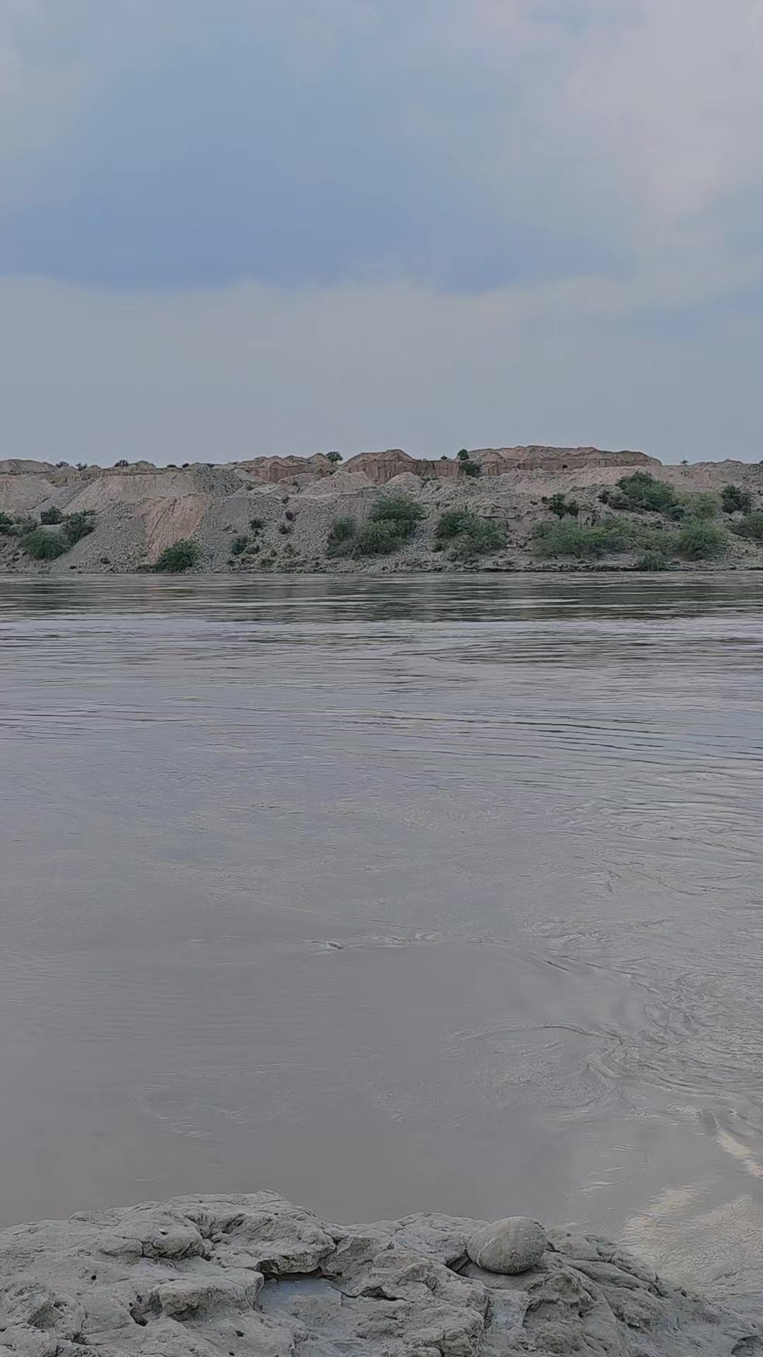 @M. Abbas نیازی