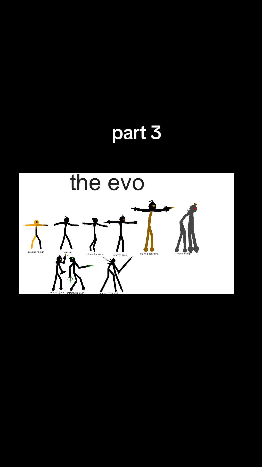@animator yang