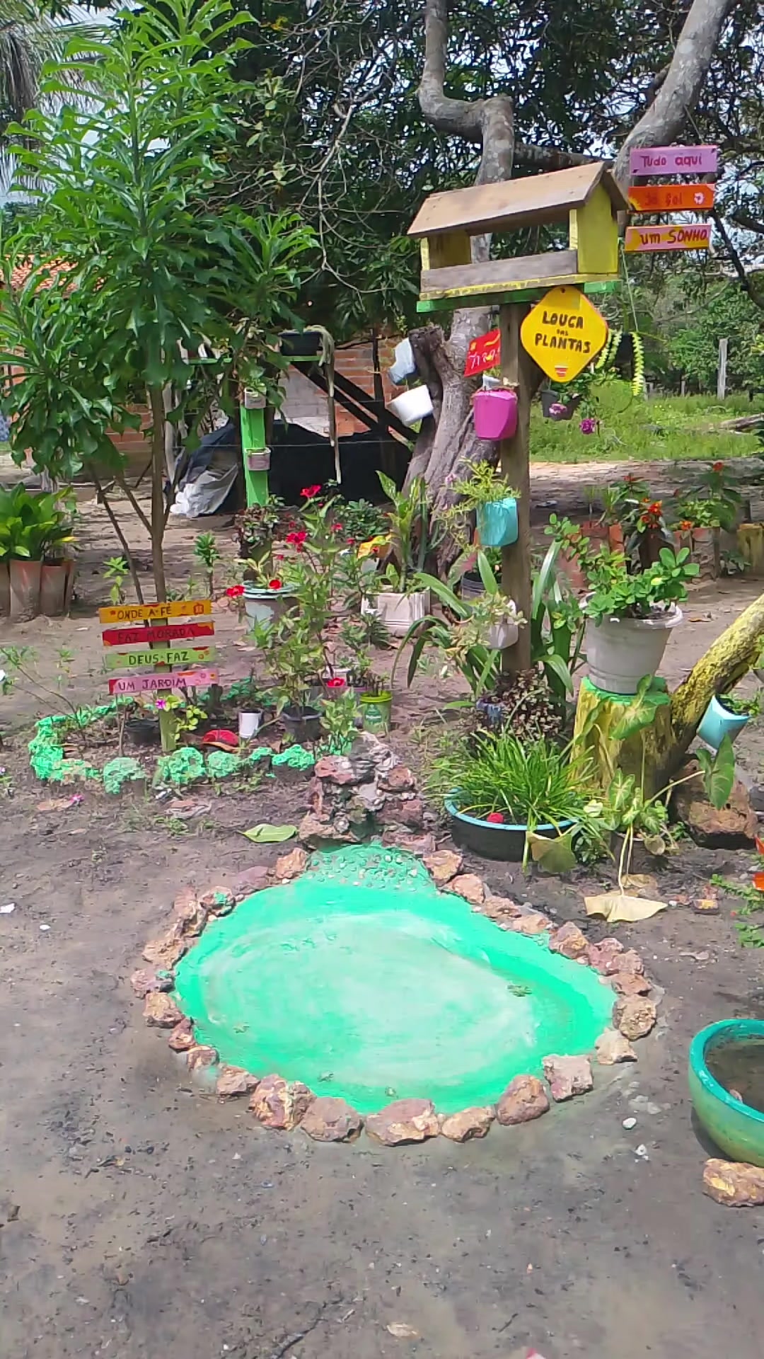 @jardim da neya🪴🌵