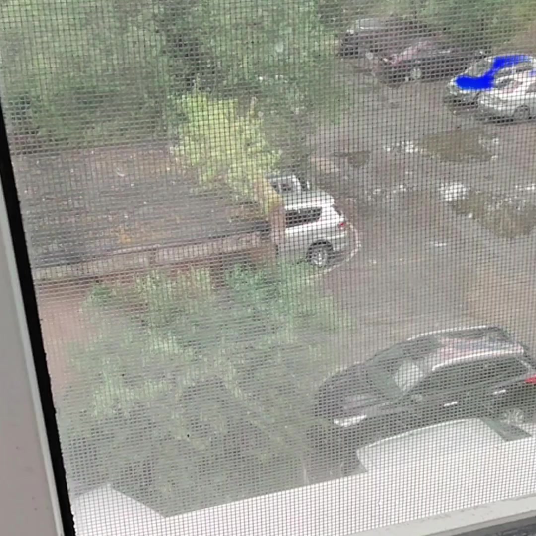 @Играть⚡—TV