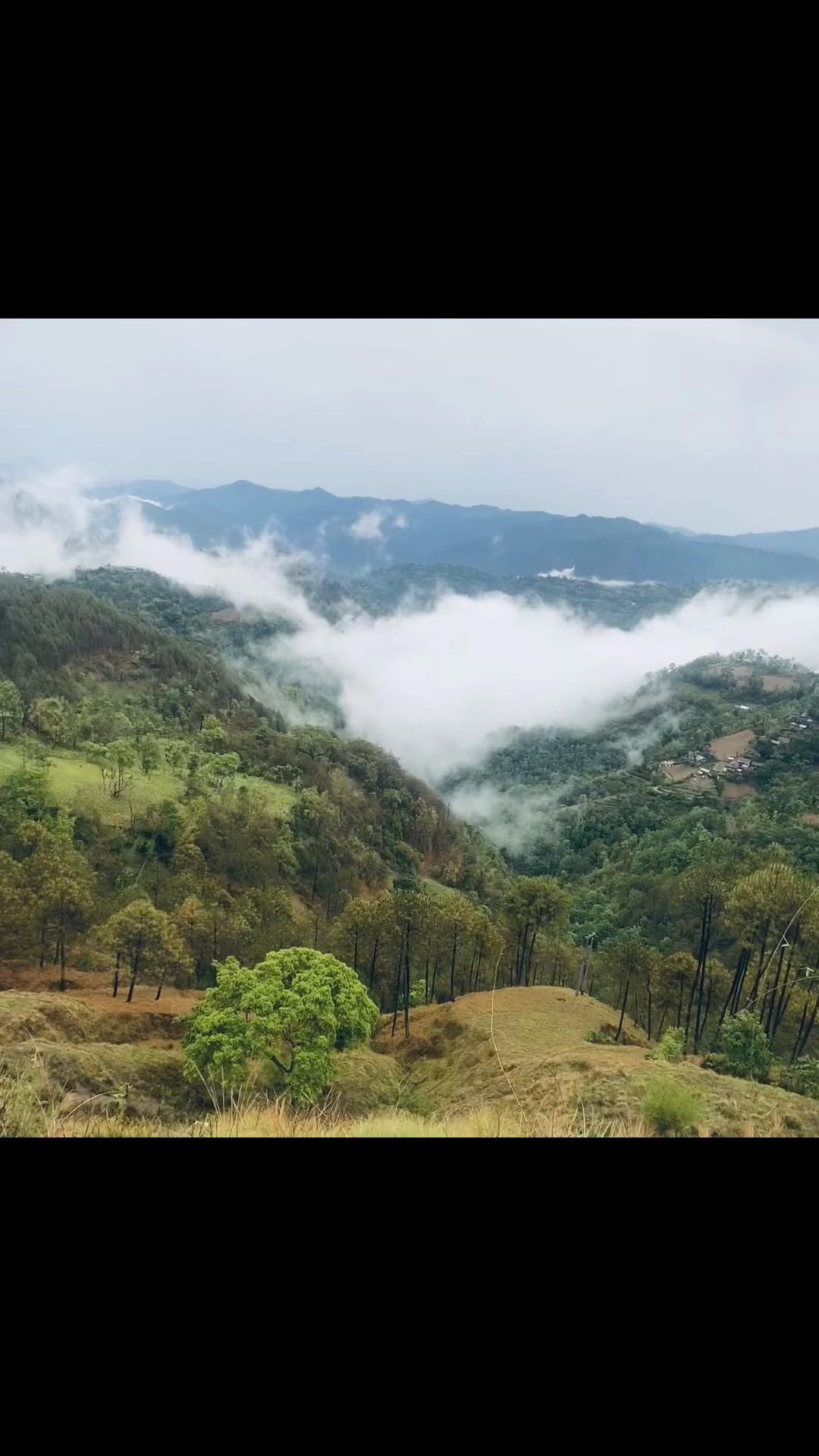 @थानेश्वर ज्ञवाली