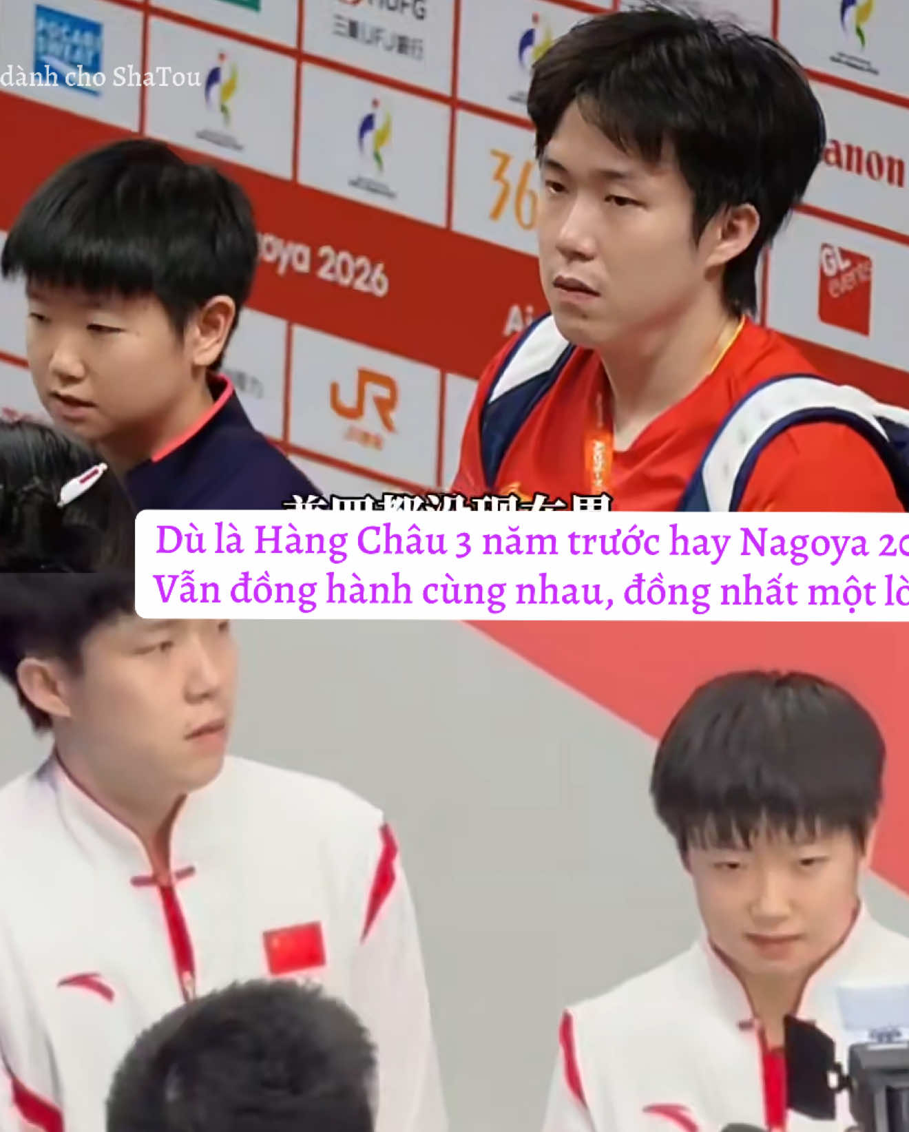 @Góc nhỏ dành cho ShaTou🦁🦈❤️
