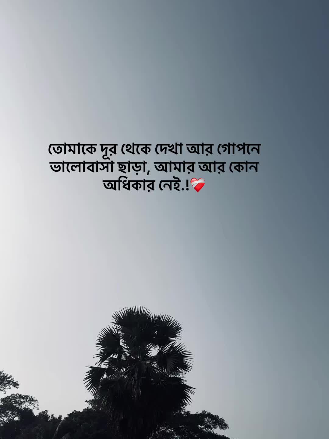 @সা জু 📜
