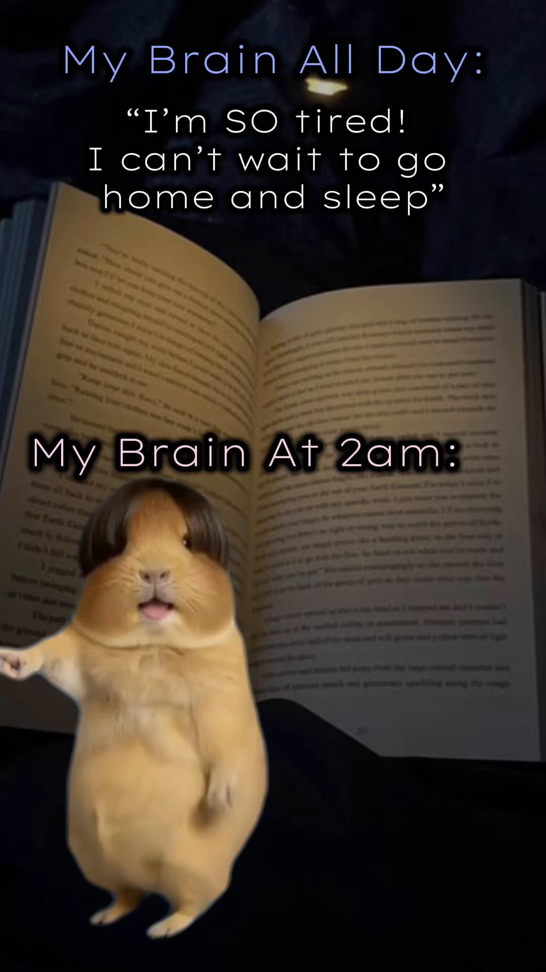 @Ebby Tater 📚✨