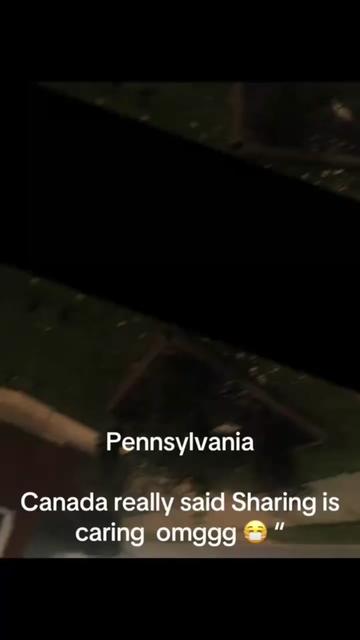 @Gray1_Wolf2.0