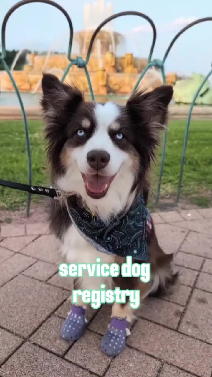 @BasicallyBandit