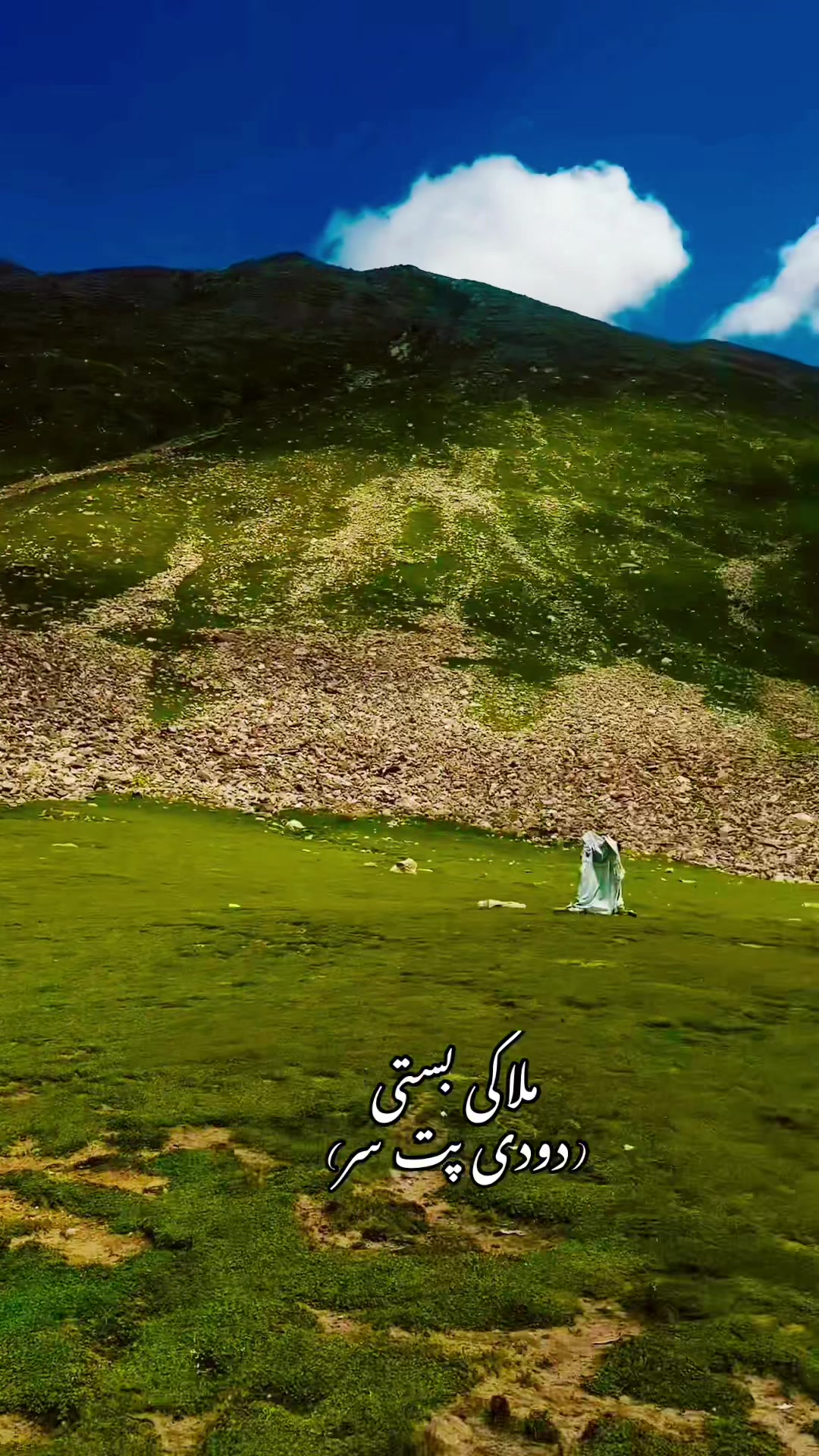@Ch_Aasi_jutt🇴🇲❤️🇵🇰