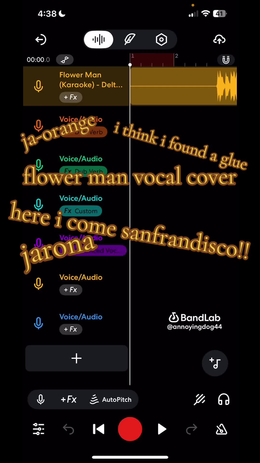 @the real floradinn