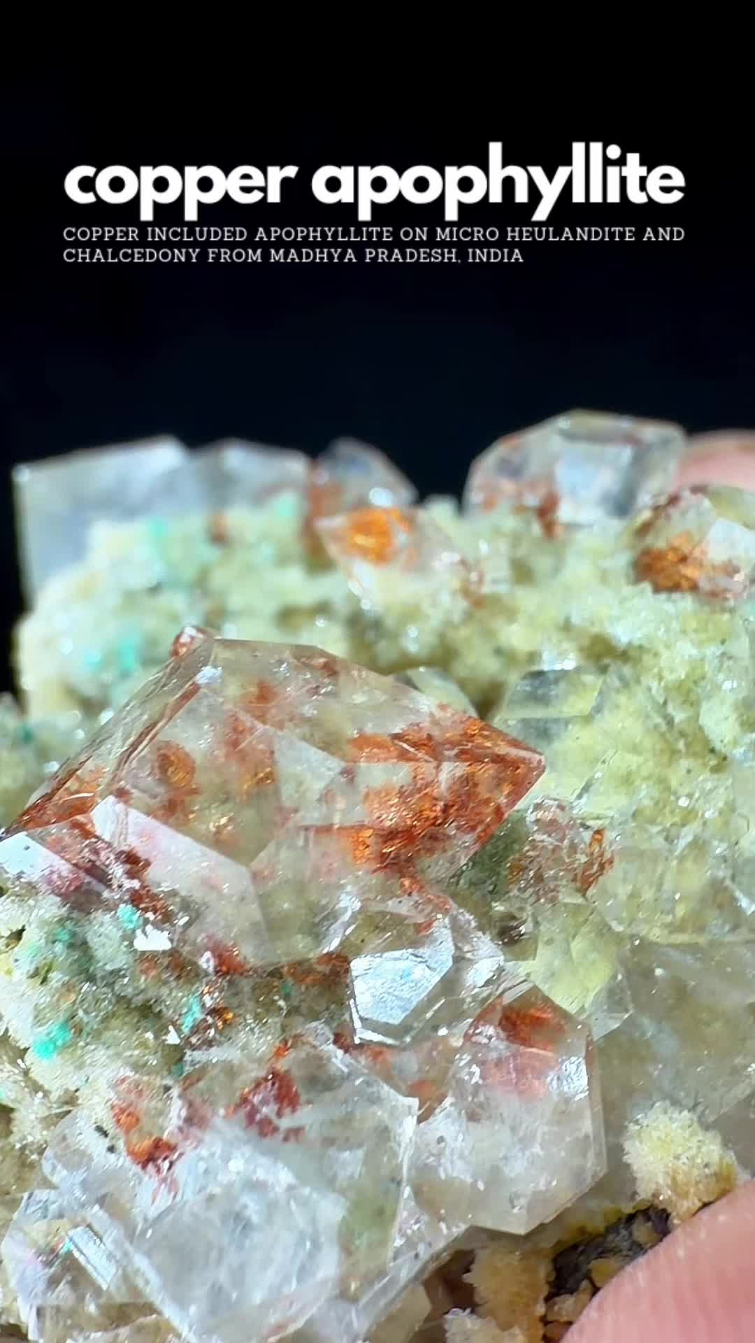 @Crystal Live Emporium✨Natalie